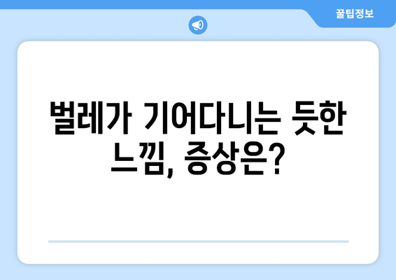 기어다니는 벌레 느낌 해결법 | 원인, 증상 대응