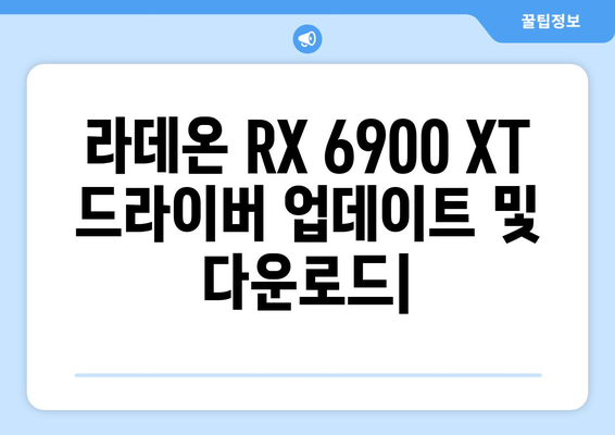 라데온 RX 6900 XT 드라이버 업데이트 및 다운로드