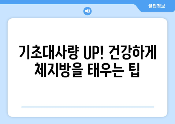 기초대사량 폭발 팁 | 건강하게 살을 빼는 방법