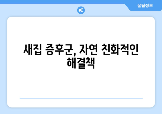 새집 증후군 해소 팁