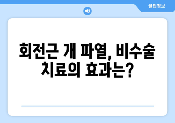 회전근 개 파열의 치료법 | 무엇을 선택해야 할까?