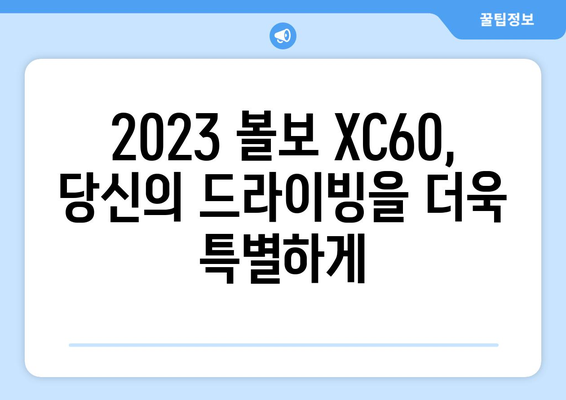 볼보 XC60 가격 | 2023년 최신 모델 소개