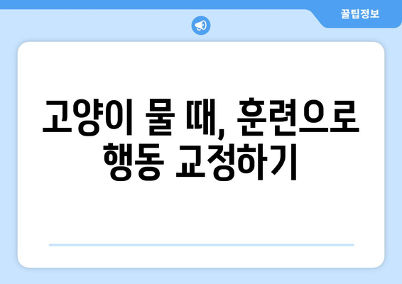 고양이 무는 이유 대 분석 | 예방과 훈련 방법