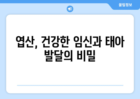 엽산의 놀라운 효용과 간편한 섭취 안내서