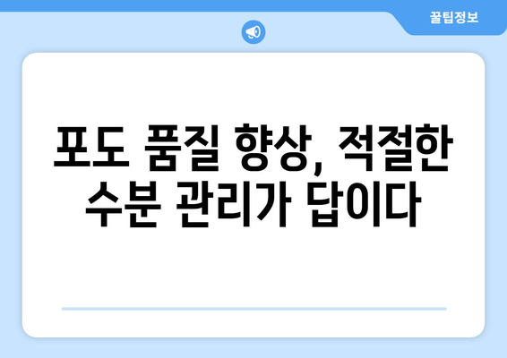 포도나무 수분 요구량 측정 및 관수 기법