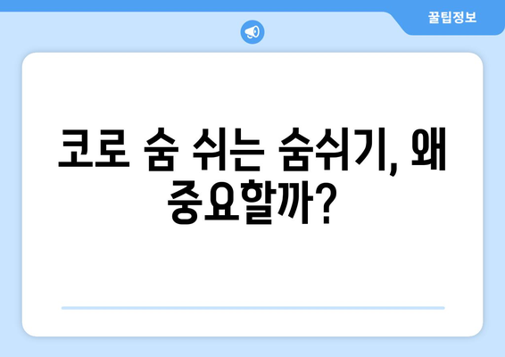 입벌리고 자는 것의 위험 | 구강 호흡의 비밀