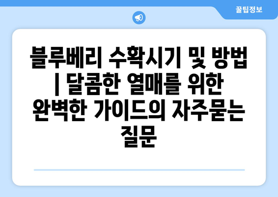 블루베리 수확시기 및 방법 | 달콤한 열매를 위한 완벽한 가이드