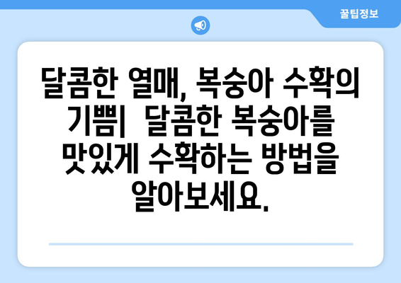 복숭아나무를 위한 포괄적 가이드 | 심기, 보호, 열매의 마법