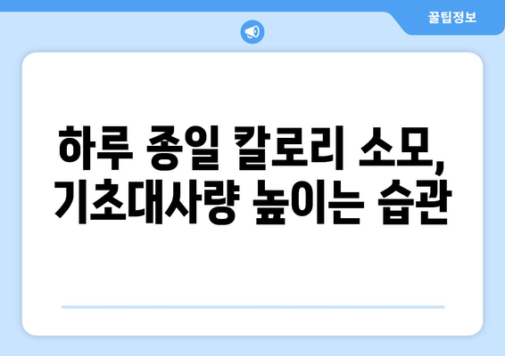 기초대사량 폭발 팁 | 건강하게 살을 빼는 방법