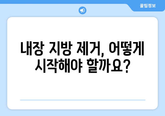 내장 지방 제거를 위한 완벽한 가이드 | 10가지 효과적인 방법