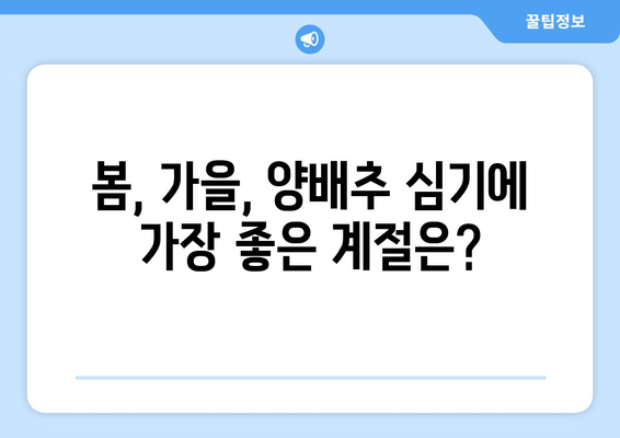 양배추 재배 | 심기와 수확을 위한 최적 시기