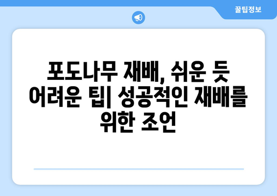 포도나무 재배와 보관 | 단계별 가이드