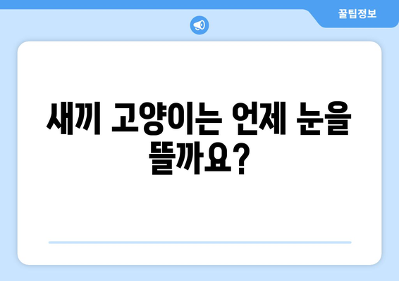 새끼 고양이 눈뜨는 시기 | 정상 범위와 케어 팁