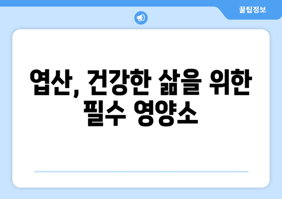 엽산의 놀라운 효용과 간편한 섭취 안내서