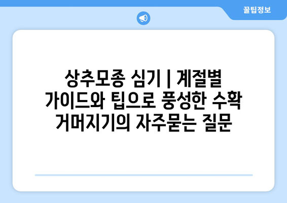 상추모종 심기 | 계절별 가이드와 팁으로 풍성한 수확 거머지기