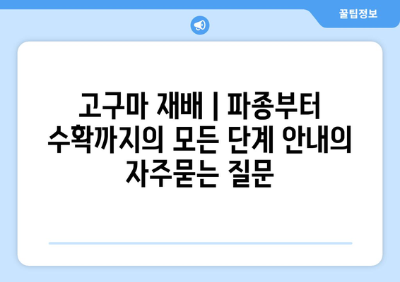 고구마 재배 | 파종부터 수확까지의 모든 단계 안내