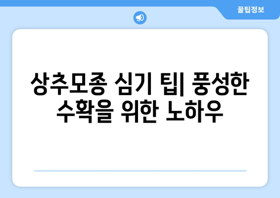 상추모종 심기 | 계절별 가이드와 팁으로 풍성한 수확 거머지기