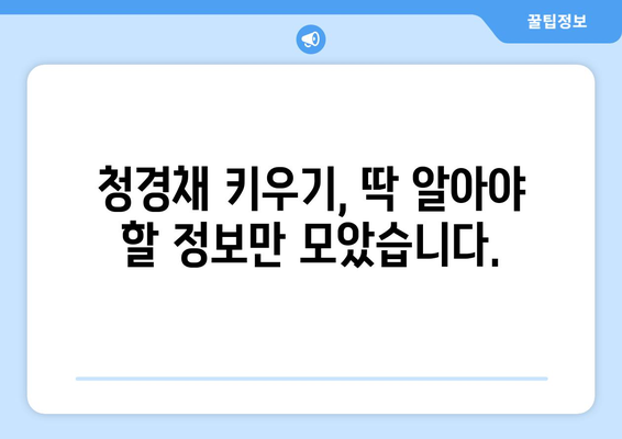 청경채 키우기 | 싱싱한 잎사귀를 위한 재배법