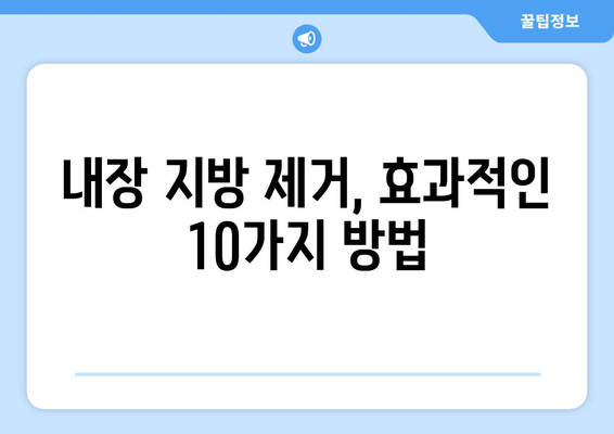 내장 지방 제거를 위한 완벽한 가이드 | 10가지 효과적인 방법