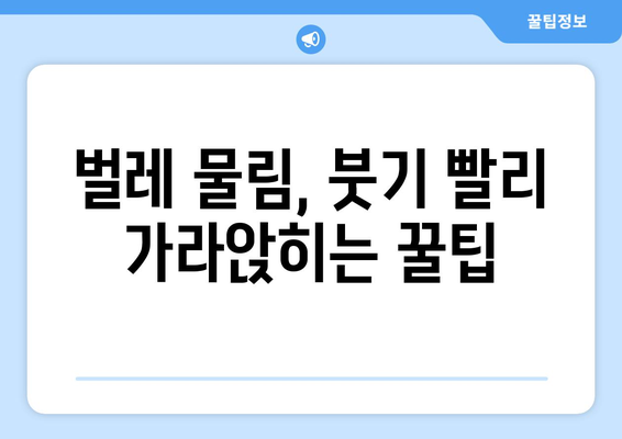 벌레 물림 대처법 | 붓기를 줄이는 효과적인 치료제