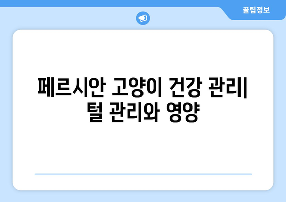 페르시안 고양이의 특징과 관리법 알아보기