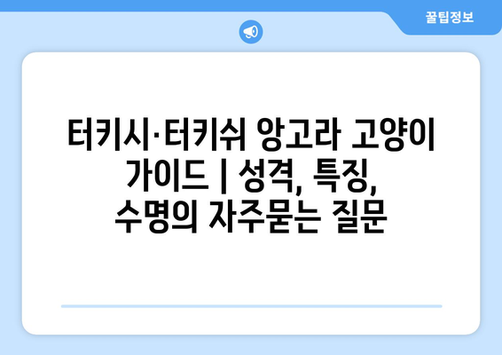 터키시·터키쉬 앙고라 고양이 가이드 | 성격, 특징, 수명