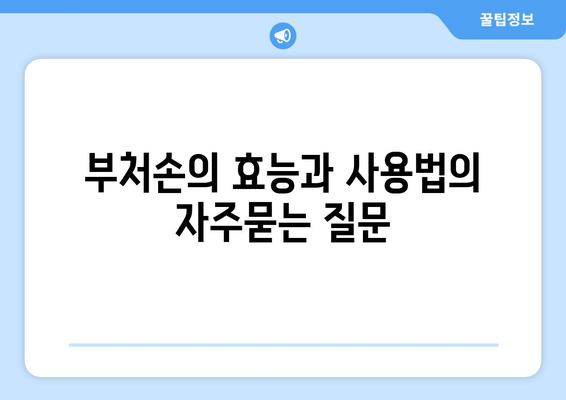 부처손의 효능과 사용법