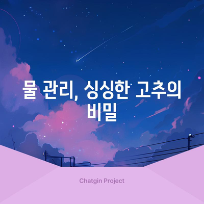 노지 고추 재배 | 성공을 위한 필수 원칙