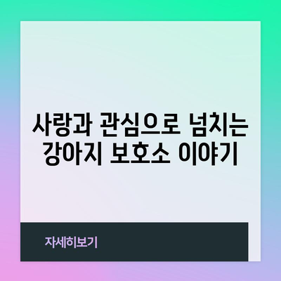 강아지 보호소 | 의미와 역할