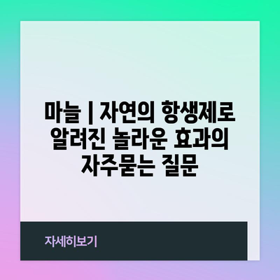 마늘 | 자연의 항생제로 알려진 놀라운 효과