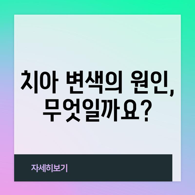 치아 변색의 고민을 푸는 원인 분석