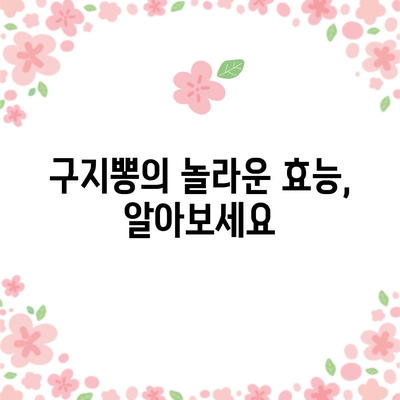 구지뽕의 효능과 건강한 식단에 활용하는 방법