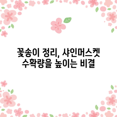 샤인머스켓 포도 개화 관리 | 꽃송이 정리의 중요성