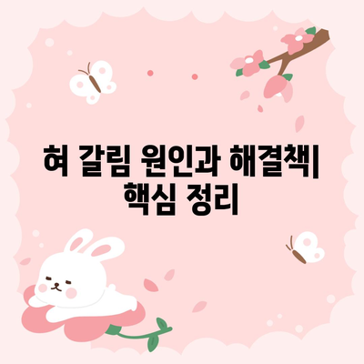 혀 갈림 원인과 실용적인 해결책