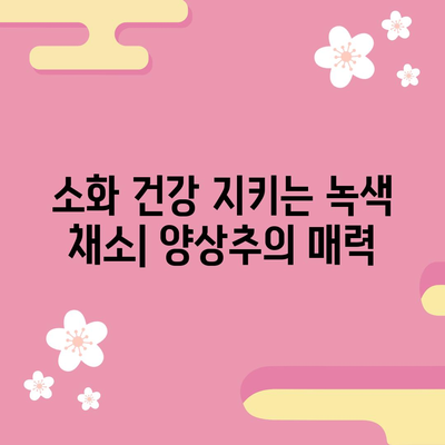 양상추, 비타민과 미네랄이 풍부한 6가지 효능