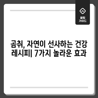 곰취의 강력한 효과 | 7가지 놀라운 이점