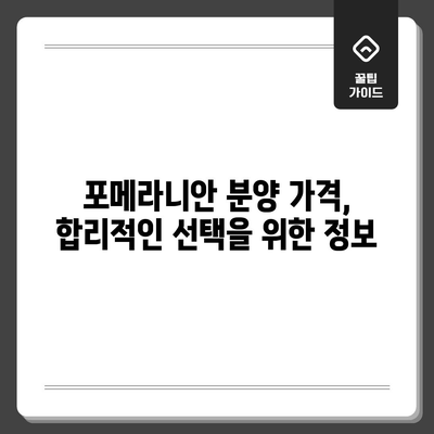 포메라니안 가이드 | 분양 가격, 성격, 입양 전 알아야 할 모든 것