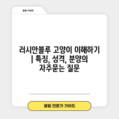 러시안블루 고양이 이해하기 | 특징, 성격, 분양