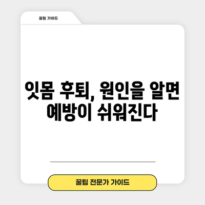 잇몸 후퇴를 예방하고 치료하는 핵심 원칙