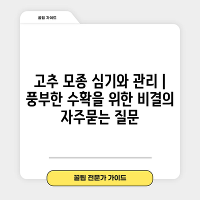 고추 모종 심기와 관리 | 풍부한 수확을 위한 비결