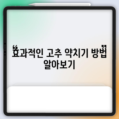 고추 약치기 | 시기와 방법으로 건강한 수확