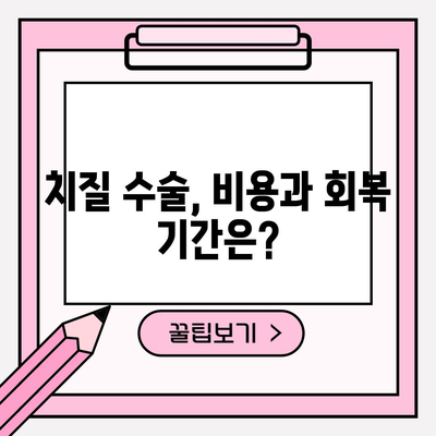 치질 | 증상, 원인, 수술 비용, 회복 기간 알아보기