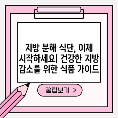 지방 분해에 도움이 되는 식품