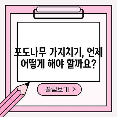 포도나무 가지치기 | 풍부한 수확을 위한 완벽한 가이드