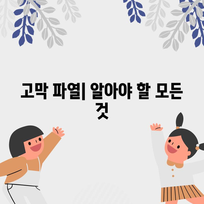 고막 파열 | 증상, 치료, 대처법