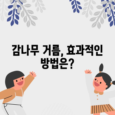 감나무 거름의 비결 | 주기와 특성 알아보기