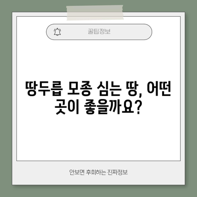 땅두릅 모종 심기 | 시기와 방법 최적화