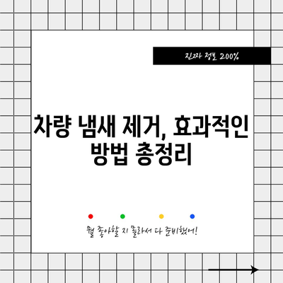 차량 습기 제거법 | 곰팡이와 냄새 예방하기