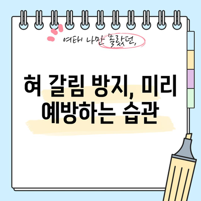 혀 갈림 원인과 실용적인 해결책
