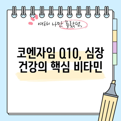코엔자임 Q10, 건강한 심혈관계를 위한 비결